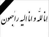 جناب آقای دکتر مسعودفقیه دینوری (معاونت محترم توسعه ومنابع دانشگاه علوم پزشکی تبریز)